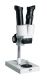 Binocular stereomicroscope DELTA Plus 20х